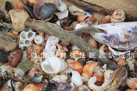 微信亂封號法院起訴 微信被法院封