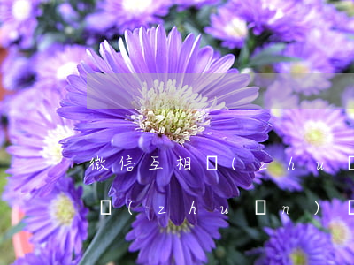微信互相轉(zhuǎn)賬起訴嗎-微信轉(zhuǎn)賬給別人,打官司可以為證據(jù)嗎