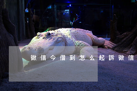 微信今借到怎么起訴(微信借錢如何起訴)