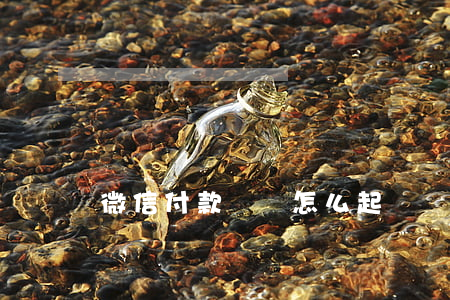 微信付款記錄怎么起訴