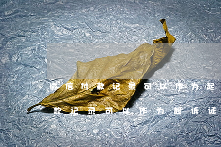微信付款记录可以作为起诉证据吗-微信付款记录可以作为起诉证据吗怎么查