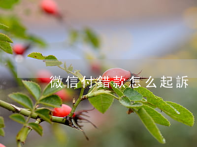 微信付錯款怎么起訴