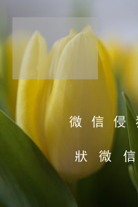 微信侵犯名譽(yù)權(quán)起訴狀 微信侵犯名譽(yù)權(quán)起訴狀模板