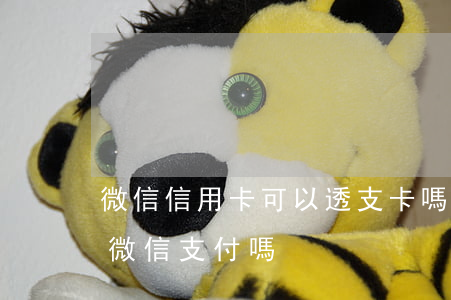 微信信用卡可以透支卡嗎(信用卡透支可以用微信支付嗎)