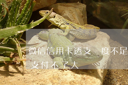 微信信用卡透支額度不足(為什么微信信用卡支付不了大額)