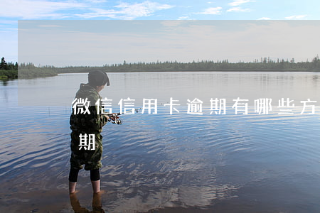 微信信用卡逾期有哪些方法(微信還信用卡逾期)