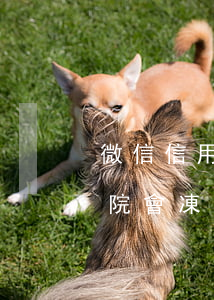 微信信用卡逾期被起訴會坐牢嗎(欠信用卡法院會凍結(jié)微信嗎)