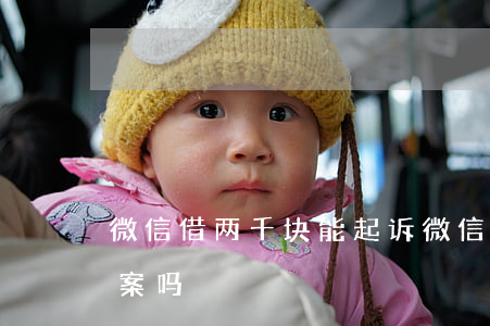 微信借两千块能起诉(微信借钱两千不还能立案吗)