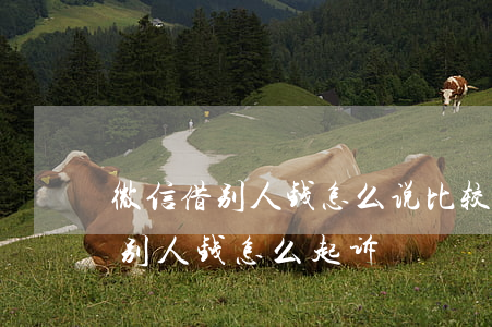 微信借别人钱怎么说比较有法律效益（微信借别人钱怎么起诉）