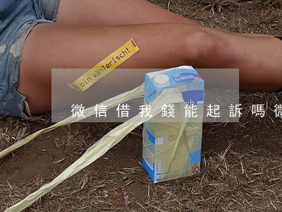 微信借我錢能起訴嗎(微信借的錢能不能起訴)