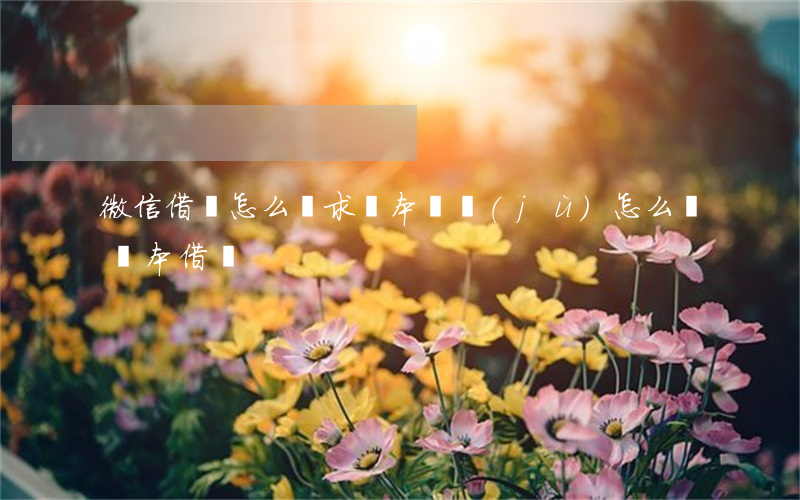 微信借條怎么寫求樣本(條據(jù)怎么寫 樣本借條)