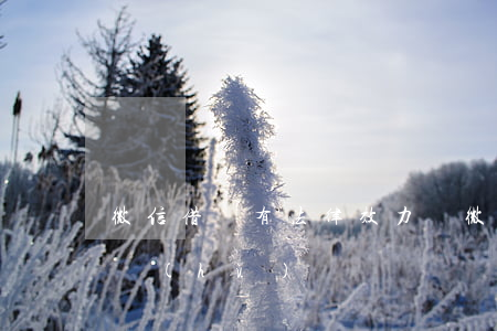 微信借條有法律效力嗎(微信上借條有法律保護(hù)嗎)