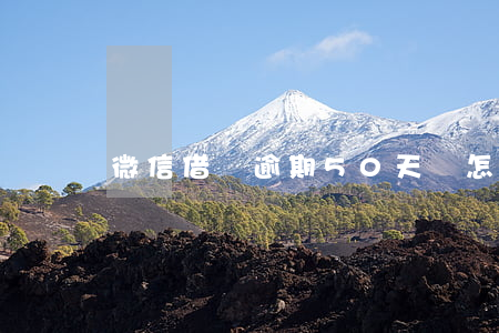 微信借條逾期50天會怎么樣