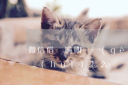微信借條逾期一個(gè)月(借條逾期一天會(huì)怎么樣)