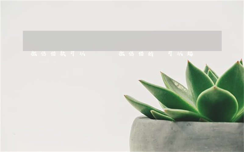 微信借款可以訴訟嗎(微信借的錢可以起訴嗎)