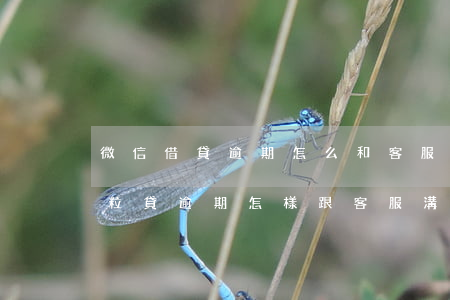 微信借貸逾期怎么和客服協(xié)商(微粒貸逾期怎樣跟客服溝通)