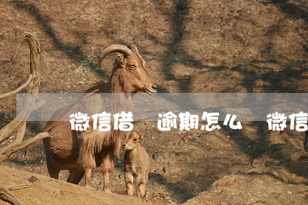 微信借貸逾期怎么辦（微信借貸逾期怎么辦）