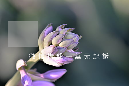 微信借錢一萬元起訴