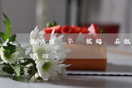 微信借錢不會被起訴(在微信借錢不還能起訴成功嗎)