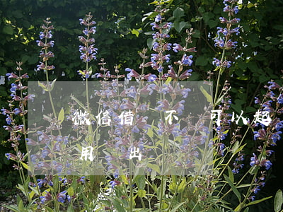 微信借錢不還可以起訴(微信借錢不還起訴費用誰出)