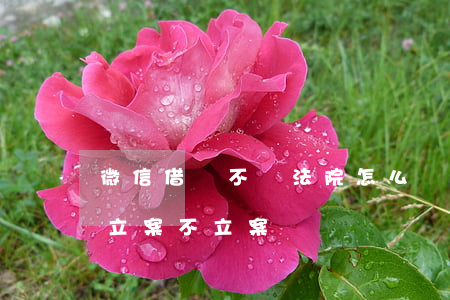 微信借錢不還法院怎么辦(微信借錢不還法院立案不立案)