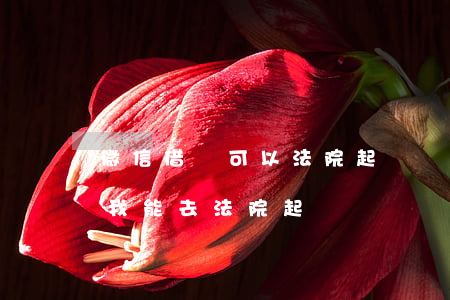 微信借錢可以法院起訴嗎(微信借出去錢不還我能去法院起訴嗎)