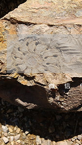 微信借錢怎么弄(微信借錢咋弄)