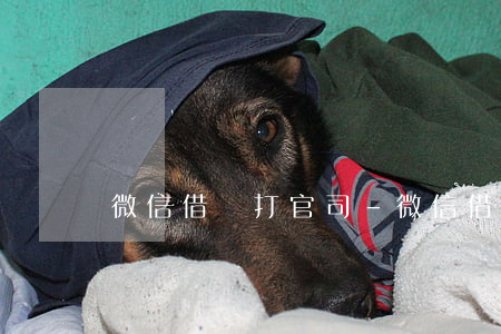 微信借錢打官司-微信借款打官司