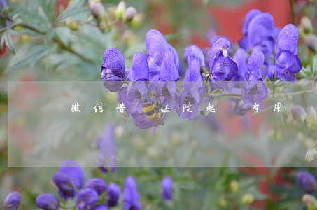 微信借錢法院起訴有用嗎?（微信借錢被起訴）