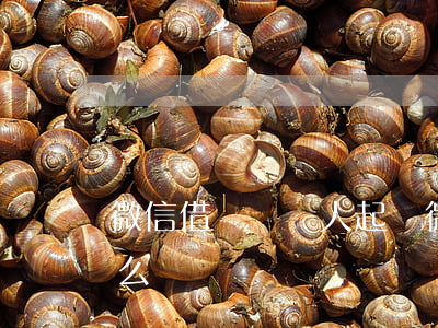 微信借錢給別人起訴(微信借錢別人起訴我怎么辦)