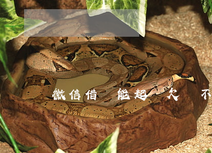 微信借錢能起訴(欠錢不還怎么在微信起訴)