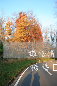 微信借錢記錄可以提起訴訟嗎(借錢不還只有微信轉(zhuǎn)賬記錄可以起訴嗎)