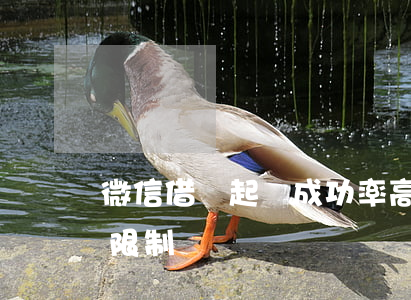 微信借錢起訴成功率高嗎（微信借錢起訴時間限制）