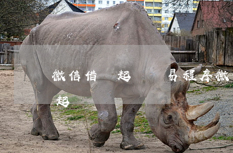 微信借錢起訴簡易程序(微信借款糾紛去哪里起訴)