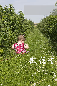 微信借錢逾期上征信嗎 微信借錢影響征信嗎
