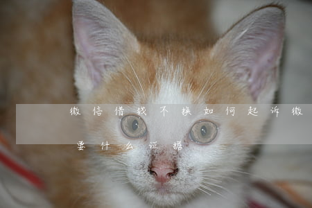 微信借钱不换如何起诉(微信借钱不还起诉需要什么证据)
