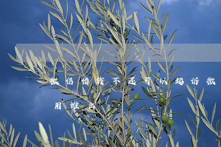 微信借钱不还可以起诉(微信借钱不还起诉费用谁出)