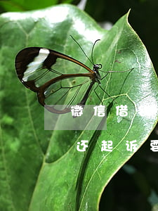 微信借钱不还起诉要做什么准备(微信借钱不还起诉要做什么准备才能立案)