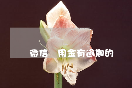 微信備用金有逾期的嗎(備用金逾期了有事嗎)