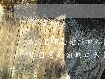 微信備用金逾期四天會(huì)上門嗎(微信備用金逾期四天會(huì)上門嗎)