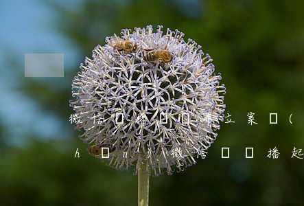 微信傳播誹謗罪立案標(biāo)準(zhǔn)（微信亂傳播起訴）
