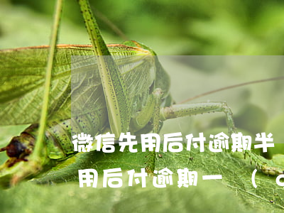 微信先用后付逾期半個(gè)月-微信先用后付逾期一個(gè)月
