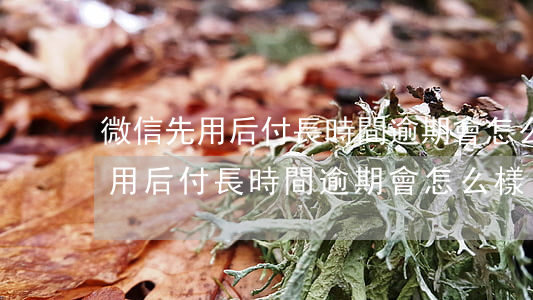 微信先用后付長時間逾期會怎么樣-微信先用后付長時間逾期會怎么樣