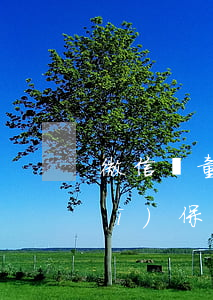微信兒童醫(yī)保逾期加錢(微信醫(yī)保怎么給孩子交費)