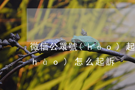 微信公眾號(hào)起訴可以嗎(公眾號(hào)怎么起訴)