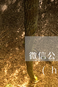 微信公眾號(hào)起訴提供商(起訴公眾號(hào)侵權(quán))