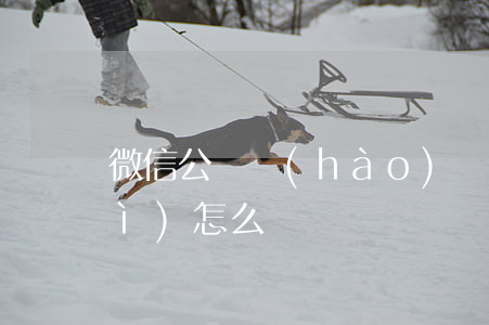 微信公眾號(hào)閃管家逾期會(huì)怎么樣