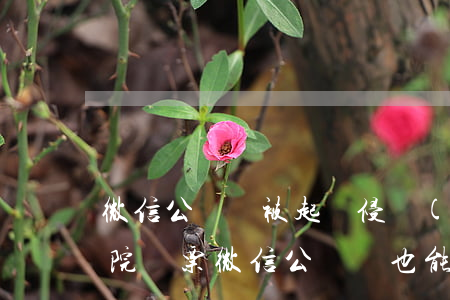 微信公眾號被起訴侵權(quán)收到法院傳票（微信公眾號也能起訴嗎）