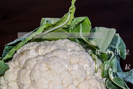 微信凍結怎樣才能查出是誰起訴的-微信凍結怎樣才能查出是誰起訴的呢