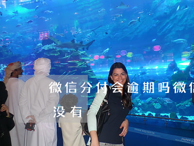 微信分付会逾期吗?（微信分付怎么看自己逾期没有）